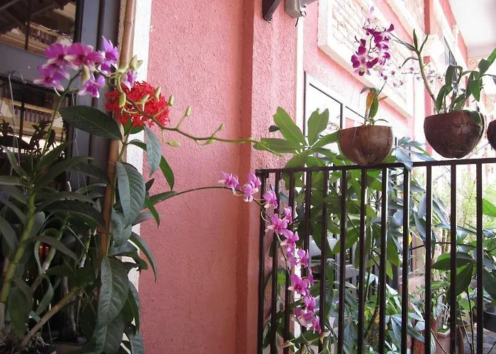 Bamboo-ck Suites